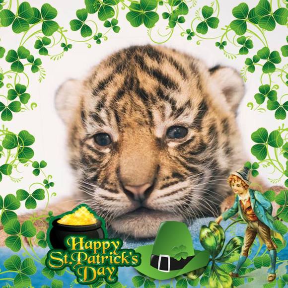 Meet your Posher, Sandra - Picture 1 of 1